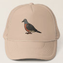 Buscar palomas gorras Pájaro