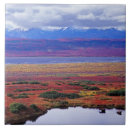 Buscar tundra azulejos Naturaleza