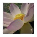 Buscar lotus azulejos Floral