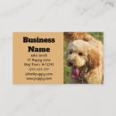 Buscar goldendoodle Doodle dorado