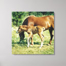 Buscar pasto lienzos Hierba