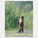 Buscar grizzle Oso
