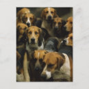 Buscar perros de caza postales Al aire libre