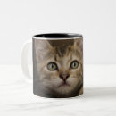 Buscar características tazas Lindo