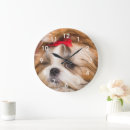 Buscar shihtzu arte Adorable