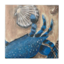 Buscar cangrejos azulejos Cangrejo azul
