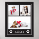 Buscar gatito blanco y negro posters Amante de los gatos