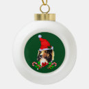 Buscar corbata adornos Perros