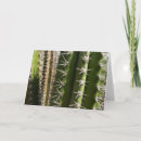 Buscar cactus del desierto tarjetas General y unisex