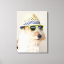 Buscar a cuadros gafas de sol Gorra
