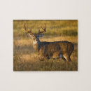 Buscar venado de cola blanca puzzles Fauna