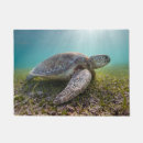Buscar tortuga verde felpudos Océano