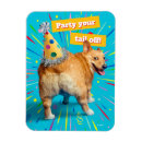 Buscar cumpleaños del perro imanes Fiesta