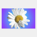 Buscar margaritas rectangulares pegatinas General y unisex