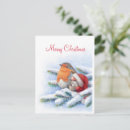 Buscar petirrojo rojo postales Nieve