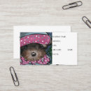 Buscar yorkie poo Yorkie poo de vacaciones