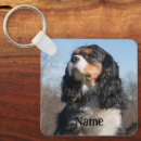 Buscar cavalier llaveros Animal
