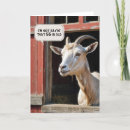 Buscar cabras tarjetas General y unisex