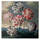 Buscar claveles azulejos Vintage