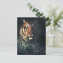 Buscar tigre postales Animal