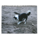 Buscar perritos calendarios Colmillos