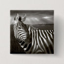 Buscar kenia chapas Vida silvestre