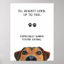 Buscar dueño del perro posters Para mascotas