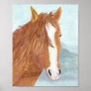 Buscar caballos marrones posters Para niños