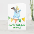 Buscar parakeet tarjetas Paracaídas