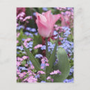 Buscar cama de flores postales Europa