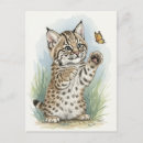 Buscar lince postales Gatito