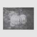 Buscar calabazas papel de seda General y unisex