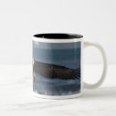 Buscar homer tazas Naturaleza