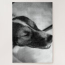 Buscar nariz puzzles Perro