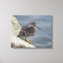Buscar de la fauna decoracion Invierno