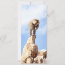 Buscar mono 10x23 invitaciones Animales