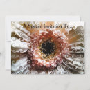 Buscar gerberas invitaciones General y unisex