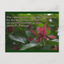 Buscar actitud postales Gratitud