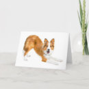 Buscar akc tarjetas Para todos