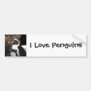 Buscar pingüino pegatinas parachoque Salvaje