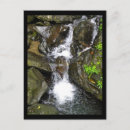 Buscar selva tropical postales Puerto rico