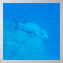 Buscar barreras posters Agua