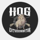 Buscar wild boar postales Vida silvestre