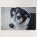 Buscar nariz puzzles Perro