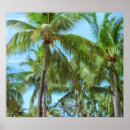Buscar palmeras arte Verano