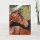 Buscar andalucia tarjetas Caballo