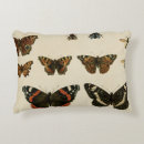 Buscar insecto cojines Animales