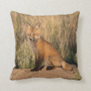 Buscar zorro rojo cojines Vida silvestre