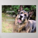 Buscar alem posters Perro