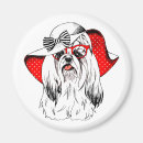 Buscar yorkie imanes Adorable